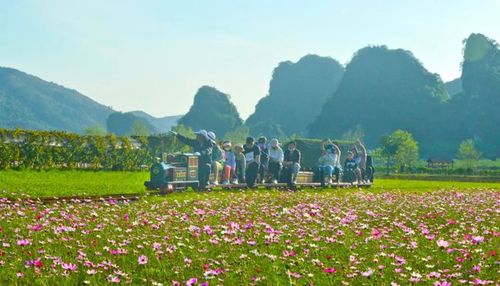 【清凉一夏,乐玩暑假】打卡英西峰林~~隐于峰林悬于半山的集装箱民宿
