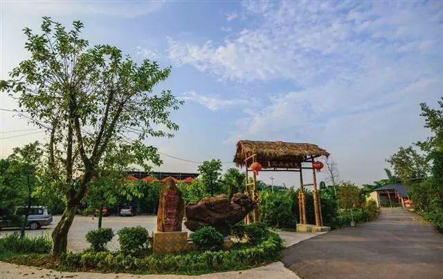 "在万灵镇尚书村2组,村委会主任贺元菊到农家院子里逐个打招呼.