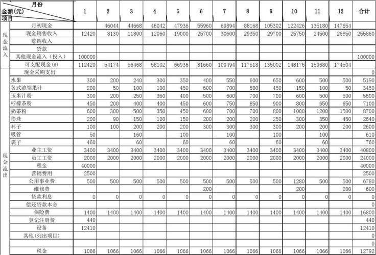 十,现金流量计划