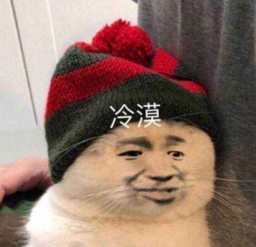 冷漠(变脸猫)_变脸_冷漠表情