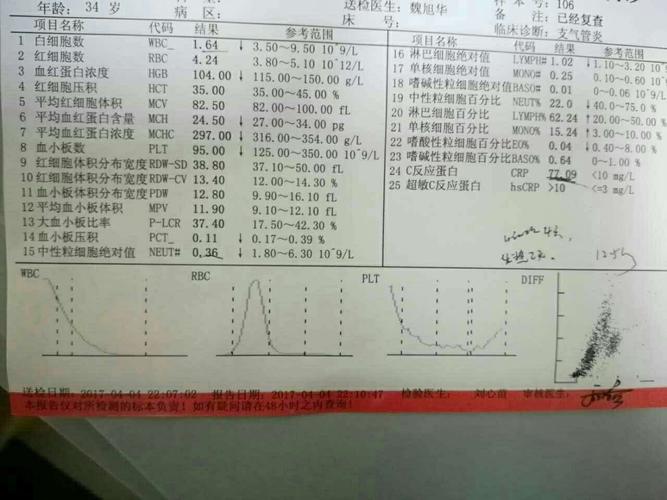 相关的检验报告