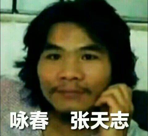 咏春张天志表情包