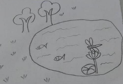 美丽的池塘怎么画_池塘简笔画画法步骤教程 公园简笔画