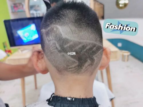 恐龙发型_恐龙_发型_理发_抵抗力_潮流_潮流发型