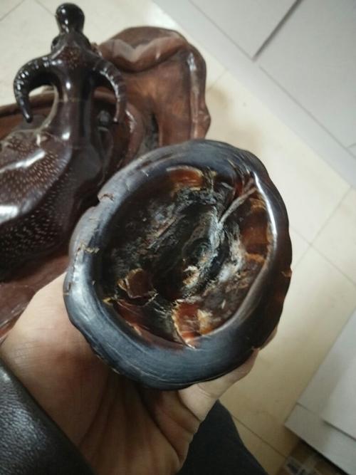 有劳师傅帮学生看看,这只是不是犀牛角,烧了一点有毛骚味,打灯透光
