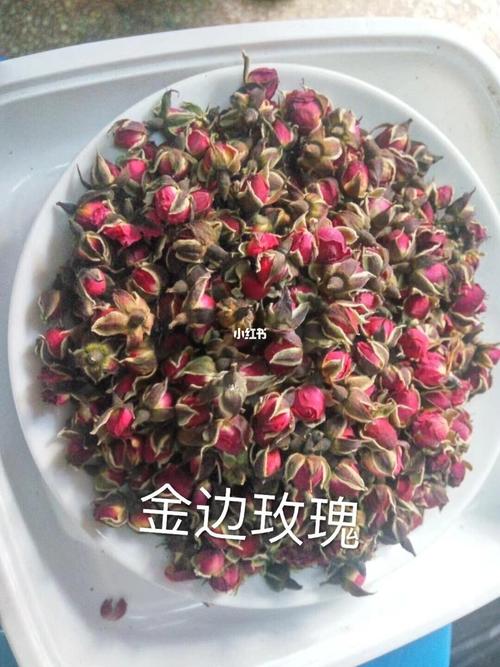 金边玫瑰的神奇功效_金边玫瑰_止痛_玫瑰花_调经_月经