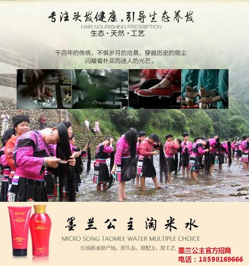 万宁墨兰公主_墨兰公主厂家