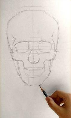 com 原创 骷髅,画好人像的基础,头骨的画法 baijiahao.baidu.com