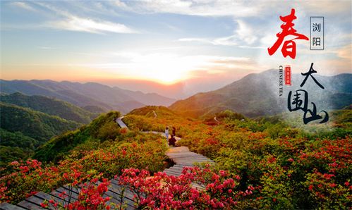大围山门票:浏阳大围山门票:大围山杜鹃花门票