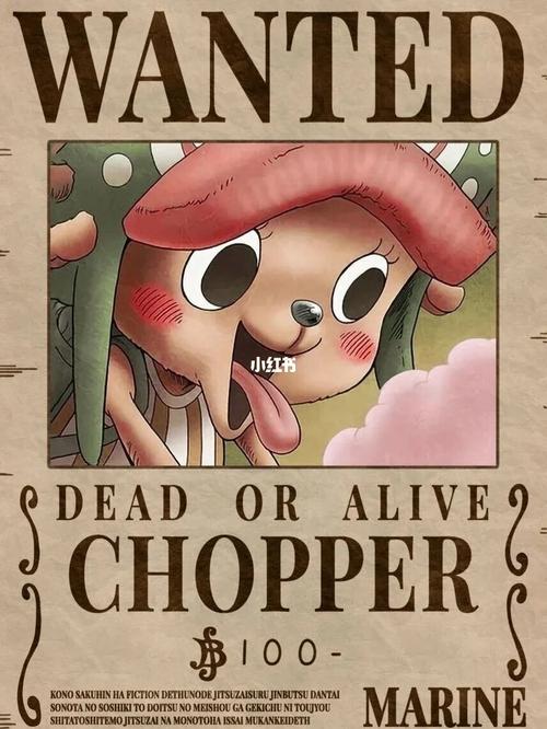 海贼王通缉令～_海贼王_影视_动漫