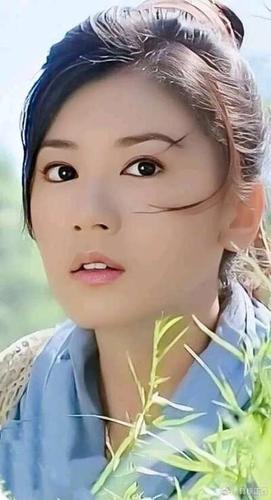 倚天屠龙记图片贾静雯