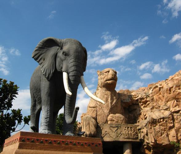  p>南非国家动物园(national zoological gardens of south africa