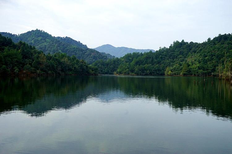 【原创】纯净资溪-旅居考察记(二)