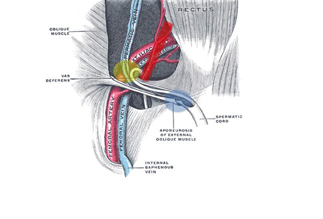 an obese, elderly patient with abdominal pain: case presentation