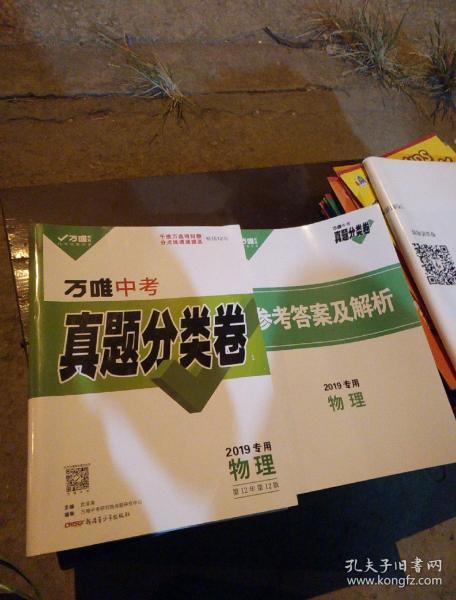 万唯中考真题分类卷2019专用物理
