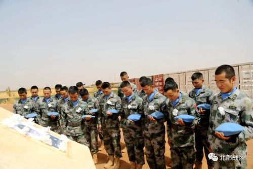 中国维和部队多种形式祭奠缅怀维和烈士