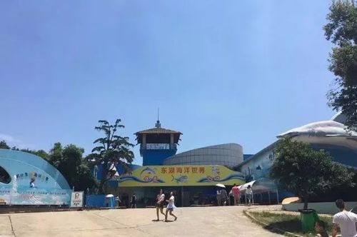 大型室内滑雪场,梦幻冰雪王国,海洋世界,综合性室内儿童欢乐王国,室外