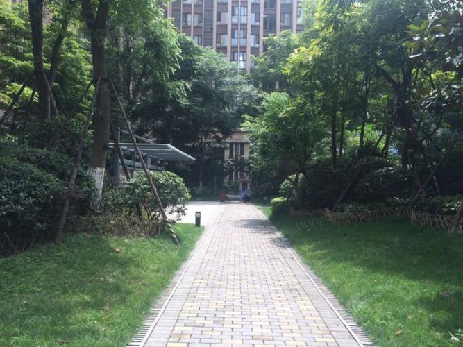 蓝光coco金沙一期相册