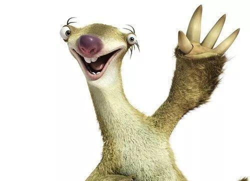 树懒说:"要想生活过得去,身上必须带点绿.