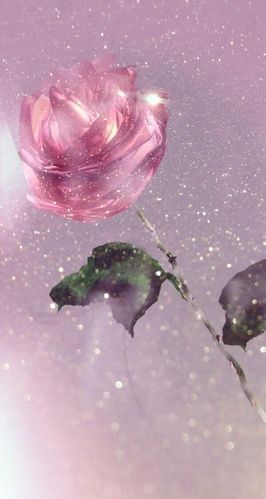 【by:子莘】喜欢点赞 关注 素质抱图 不定期更新 壁纸: 明星 小清新