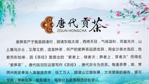 摄影 贡茶院内去品茗    大唐贡茶院具有悠久而辉煌的历史,早在1200多