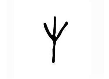 草:汉字的起源与演变(小学一年级语文生字 第61集)