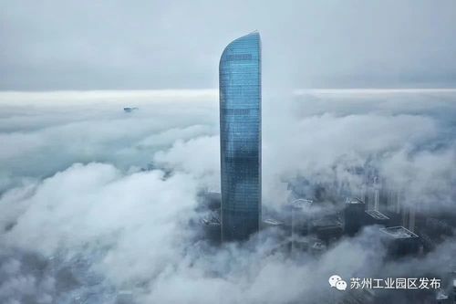 460米!苏州第二高楼来了!就在