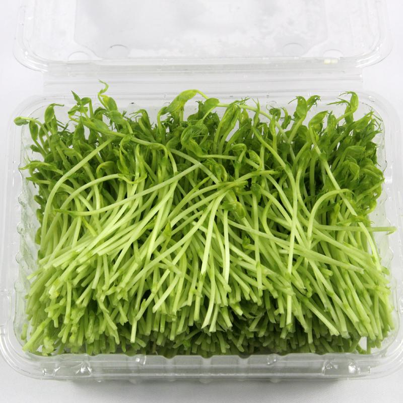 新鲜蔬菜豆苗 山泉水豆苗 芽苗菜 水豆苗 200g/盒