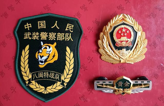 毛启国武警部队16式臂章鉴赏