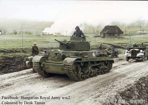 多瑙河畔的铁骑,二战匈牙利的装甲部队