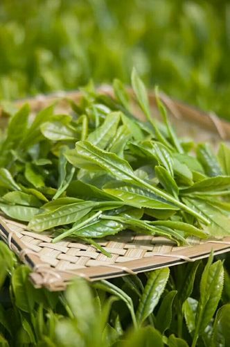 大连宣和茶坊与您邀约茶文化地址:大连市西岗区长春路301号电话号码