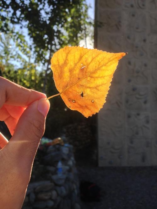 渐凉的天气,伤感越来越重.