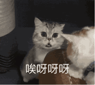 黄明昊表情包