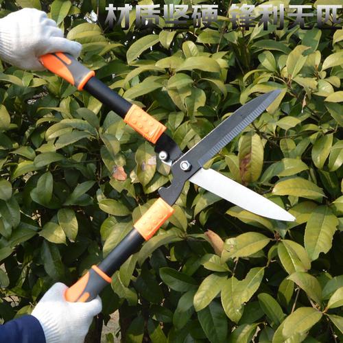 草坪剪绿篱剪树枝修枝剪果枝剪修剪花木树枝草坪园艺工具园艺大剪刀