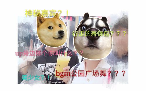 某up主竟是一个活的表情包?】本期有神秘嘉宾出场(满屏表情包系列)