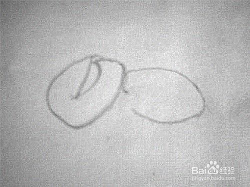 一罐松子简笔画