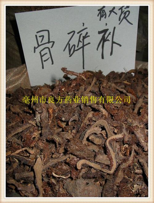 骨碎补 川续断 烫骨碎补 碎补 中药材批发