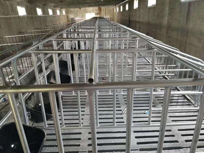 水泥漏粪板猪用 猪牛羊用水泥漏粪地板 保育肥猪用水泥漏粪板模具