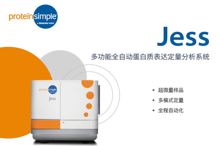 jess 无所不能