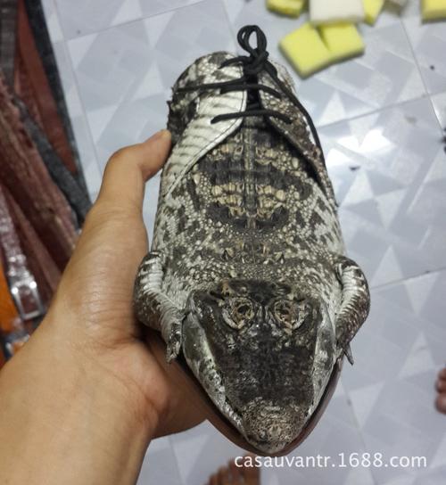 vantr 鳄鱼皮皮鞋 连头带爪 全球孤