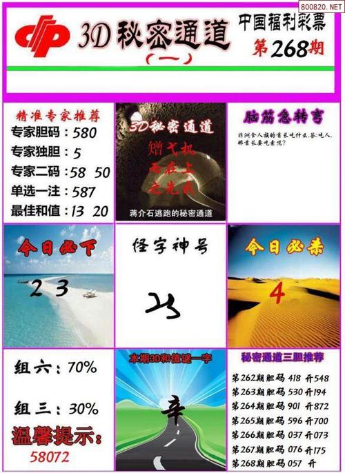 21268期秘密通道福彩3d图谜版ab