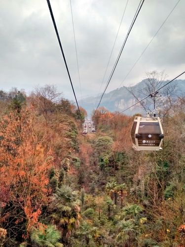 穿梭于峨眉山万年寺的索道.