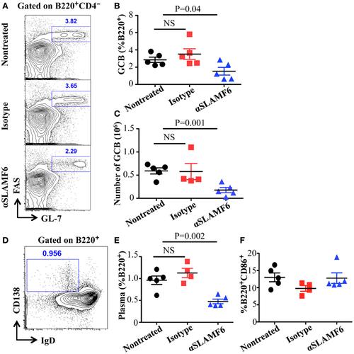 cfa and some mice were injected with either 250 μg anti