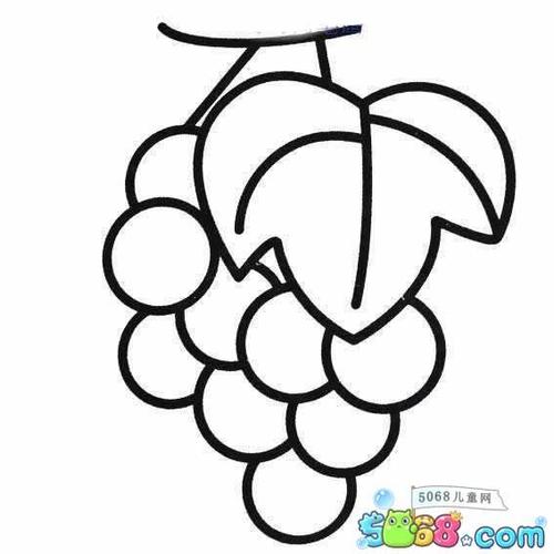 葡萄怎么吃的水果简笔画