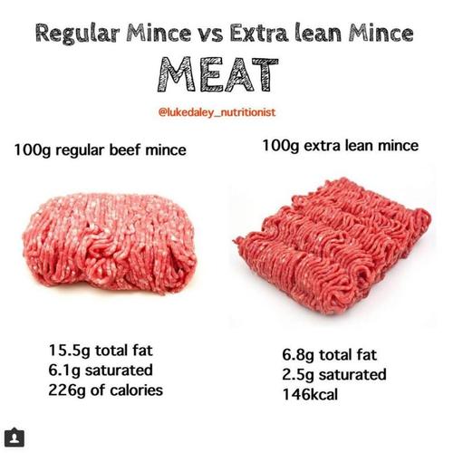 regular mince vs lean mince meat