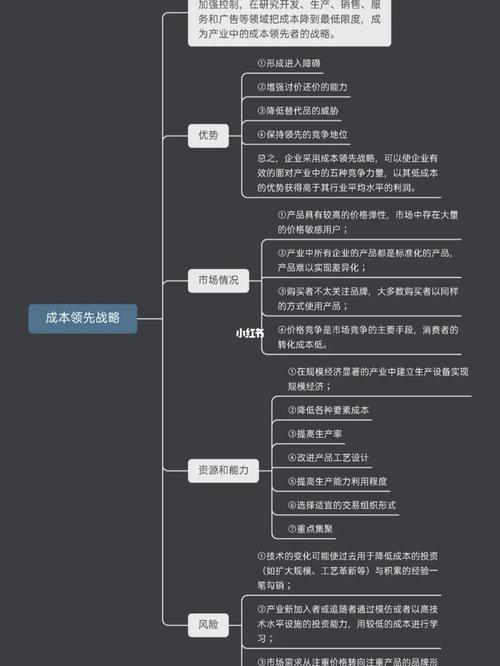 公司战略风险管理(二)_思维导图_教育_职场干货