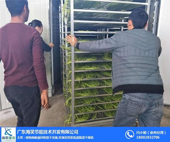 > 海南贡菜烘干机,海笑节能技术,新型贡菜烘干机  贡菜加工方法的机械