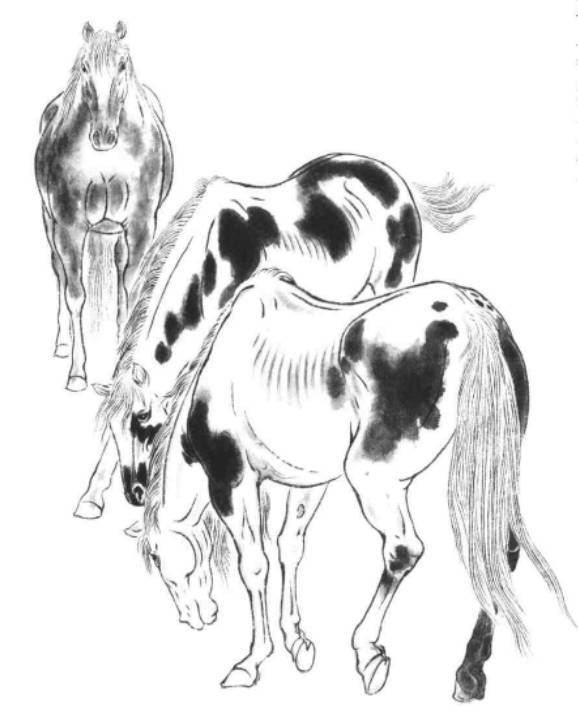 画马白描集萃