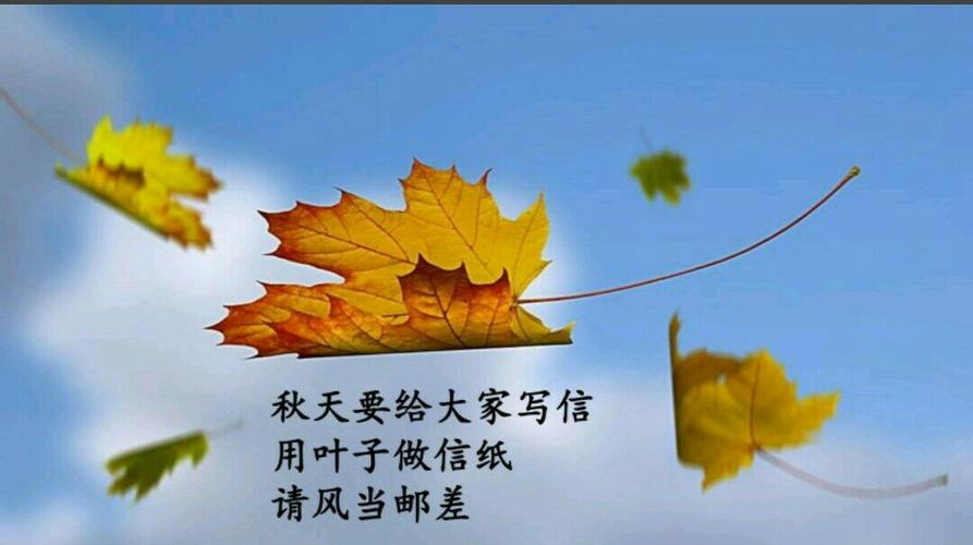诗歌点亮每一天