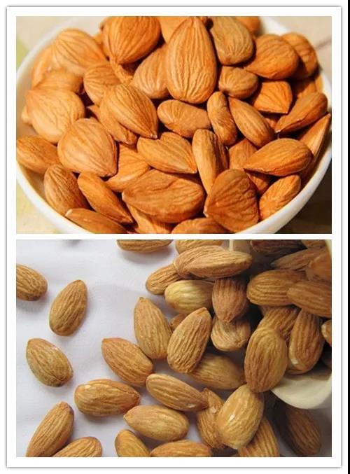 苦杏仁和甜杏仁有何区别?是食用不当还是隐形杀手?